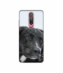 Amazon Brand - Solimo Designer Labrador Dog 3D Printed Hard Back Case Mobile Cover for Poco X2 / Mi Redmi K30