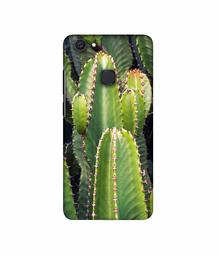 Amazon Brand - Solimo Designer Desert Plant 3D Printed Hard Back Case Mobile Cover for Vivo V7 Plus