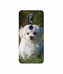 Amazon Brand - Solimo Designer White Dog 3D Printed Hard Back Case Mobile Cover for Nokia 7.1