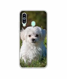 Amazon Brand - Solimo Designer White Dog UV Printed Soft Back Case Mobile Cover for Samsung Galaxy M40