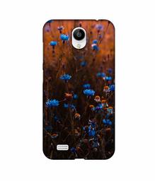 Amazon Brand - Solimo Designer Flower Photograpy 3D Printed Hard Back Case Mobile Cover for Vivo Y21L