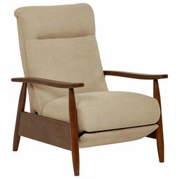 Stone & Beam Clayton Modern Clayton Living Room Chair Fabric