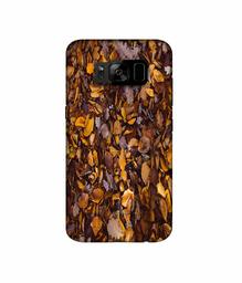 Amazon Brand - Solimo Designer Dry Leafs 3D Printed Hard Back Case Mobile Cover for Samsung Galaxy S8 Plus