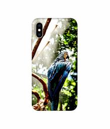 Amazon Brand - Solimo Designer Macaw Parrot 3D Printed Hard Back Case Mobile Cover for Apple iPhone Xs Max