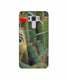 Amazon Brand - Solimo Designer Cactus 3D Printed Hard Back Case Mobile Cover for Asus Zenfone 3 Laser ZC551KL