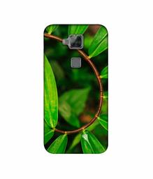 Amazon Brand - Solimo Designer Leaf Photography 3D Printed Hard Back Case Mobile Cover for Huawei G8