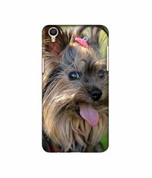 Amazon Brand - Solimo Designer Hairy Puppy 3D Printed Hard Back Case Mobile Cover for Oppo F1 Plus