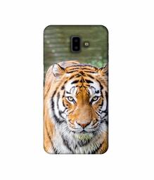 Amazon Brand - Solimo Designer Tiger in Water 3D Printed Hard Back Case Mobile Cover for Samsung Galaxy J6 Plus