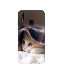 Amazon Brand - Solimo Designer Sleepy Kitten 3D Printed Hard Back Case Mobile Cover for Vivo Y95