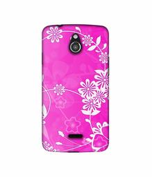 Amazon Brand - Solimo Designer Flower Pattern 3D Printed Hard Back Case Mobile Cover for InFocus M2