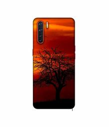 Amazon Brand - Solimo Designer Nature View 3D Printed Hard Back Case Mobile Cover for Oppo A91