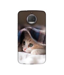 Amazon Brand - Solimo Designer Sleepy Kitten UV Printed Soft Back Case Mobile Cover for Motorola Moto G5S Plus