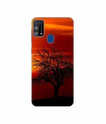 Amazon Brand - Solimo Designer Nature View 3D Printed Hard Back Case Mobile Cover for Samsung Galaxy M31