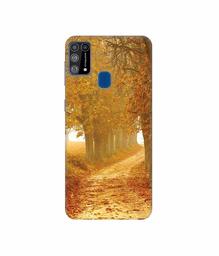 Amazon Brand - Solimo Designer Autumn Scene 3D Printed Hard Back Case Mobile Cover for Samsung Galaxy M31