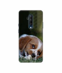 Amazon Brand - Solimo Designer Cute Puppy 3D Printed Hard Back Case Mobile Cover for OnePlus 7T Pro