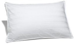 Pinzon Pyrenees Hypoallergenic Medium Density White Down Standard Support Pillow