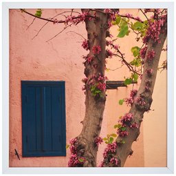 Amazon Brand – Rivet Pink Tree Blossoms at the Villa Photo Print Wall Art, White Wood Frame, 12