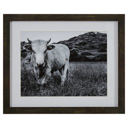 Amazon Brand – Stone & Beam Modern Black and White Photo of Bull Wall Art in Charcoal Frame, 22