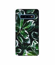 Amazon Brand - Solimo Designer Leaf Imperation 3D Printed Hard Back Case Mobile Cover for Samsung Galaxy S10 Plus