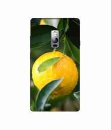 Amazon Brand - Solimo Designer Lemon 3D Printed Hard Back Case Mobile Cover for OnePlus 2