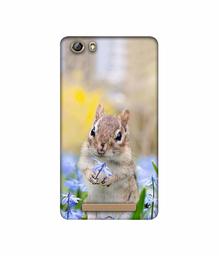 Amazon Brand - Solimo Designer Squirrel 3D Printed Hard Back Case Mobile Cover for Gionee Marathon M5 lite