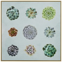 Amazon Brand – Rivet Six Succulent Print in Birch Floater Frame Wall Art, 16