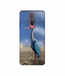 Amazon Brand - Solimo Designer Bagula 3D Printed Hard Back Case Mobile Cover for Poco X2 / Mi Redmi K30