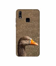 Amazon Brand - Solimo Designer Duck Face 3D Printed Hard Back Case Mobile Cover for Vivo Y95