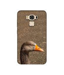 Amazon Brand - Solimo Designer Duck Face 3D Printed Hard Back Case Mobile Cover for Asus Zenfone 3 Max ZC553KL