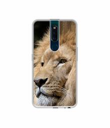 Amazon Brand - Solimo Designer Lion UV Printed Soft Back Case Mobile Cover for Oppo F11 Pro