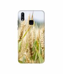 Amazon Brand - Solimo Designer Wheat Plant 3D Printed Hard Back Case Mobile Cover for Vivo Y95