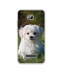 Amazon Brand - Solimo Designer White Dog UV Printed Soft Back Case Mobile Cover for Micromax Canvas Spark 3 Q385