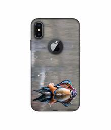 Amazon Brand - Solimo Designer Duck 3D Printed Hard Back Case Mobile Cover for Apple iPhone X (Logo Cut)