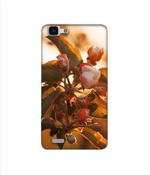 Amazon Brand - Solimo Designer Flowers 3D Printed Hard Back Case Mobile Cover for Vivo Y27L