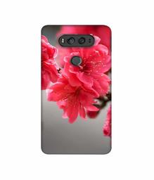 Amazon Brand - Solimo Designer Blossom Like Flower 3D Printed Hard Back Case Mobile Cover for LG V20