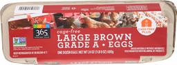 365 EVERYDAY VALUE Brown Large Grade A Eggs, 12 CT