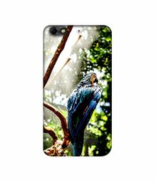 Amazon Brand - Solimo Designer Macaw Parrot 3D Printed Hard Back Case Mobile Cover for Huawei Honor 4C