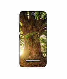 Amazon Brand - Solimo Designer Tree Trunk 3D Printed Hard Back Case Mobile Cover for Micromax Canvas Juice 3 Q392