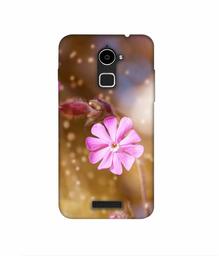 Amazon Brand - Solimo Designer Pink Flower 3D Printed Hard Back Case Mobile Cover for Coolpad Note 3 Lite