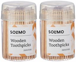 Amazon Brand - Solimo Wooden Toothpicks - 250 Sticks (Pack of 2)