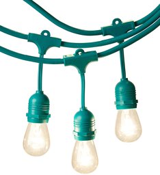 AmazonBasics Weatherproof Outdoor Patio String Lights S14 Bulb, Green, 48'