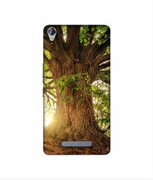 Amazon Brand - Solimo Designer Tree Trunk 3D Printed Hard Back Case Mobile Cover for Micromax Canvas Juice 3Plus Q394