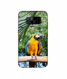 Amazon Brand - Solimo Designer Macaw Bird 3D Printed Hard Back Case Mobile Cover for Samsung Galaxy S8 Plus