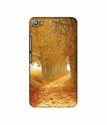 Amazon Brand - Solimo Designer Autumn Scene 3D Printed Hard Back Case Mobile Cover for Micromax Canvas Fire 4 A107