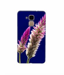 Amazon Brand - Solimo Designer Wheat Flower 3D Printed Hard Back Case Mobile Cover for Huawei Honor 5c