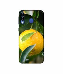 Amazon Brand - Solimo Designer Lemon 3D Printed Hard Back Case Mobile Cover for Samsung Galaxy M21