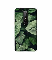 Amazon Brand - Solimo Designer Leafs 3D Printed Hard Back Case Mobile Cover for Nokia 6.1 Plus