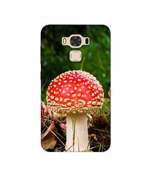 Amazon Brand - Solimo Designer Red Mushroom 3D Printed Hard Back Case Mobile Cover for Asus Zenfone 3 Max ZC553KL