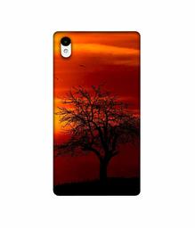 Amazon Brand - Solimo Designer Nature View 3D Printed Hard Back Case Mobile Cover for Sony Xperia Z2