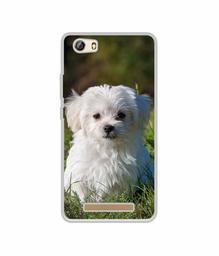 Amazon Brand - Solimo Designer White Dog UV Printed Soft Back Case Mobile Cover for Gionee Marathon M5 lite